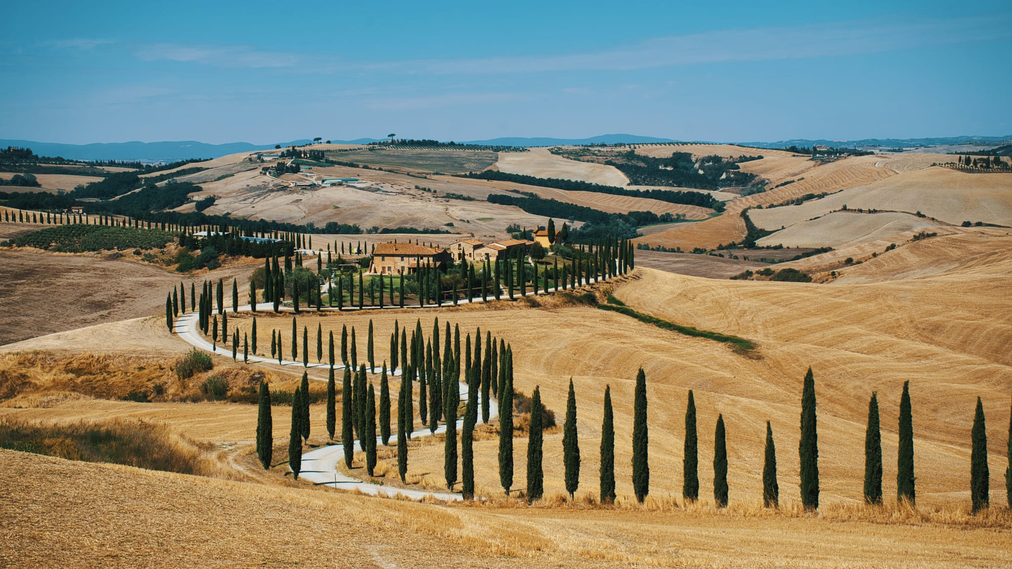 A classic cypress-lined road winding through the Val d'Orcia, representing the ideal experience of driving in Tuscany.