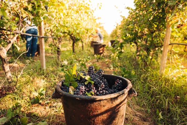 September in Italy: the definitive guide